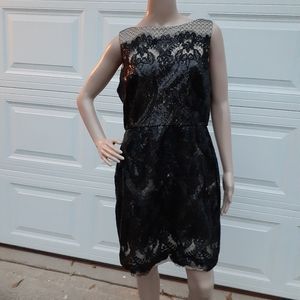 Julia Jordan black lace on beige